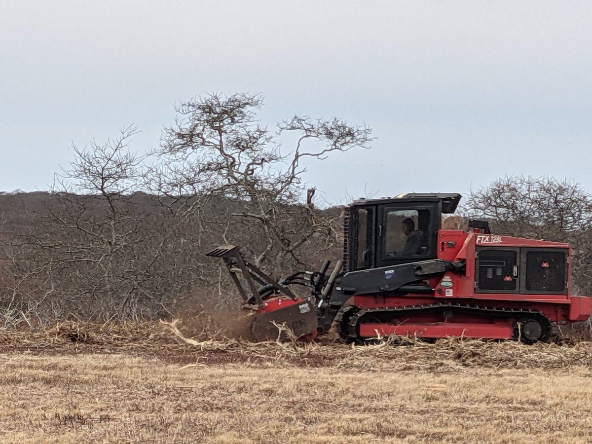 Nantucket Conservation Foundation tweet media