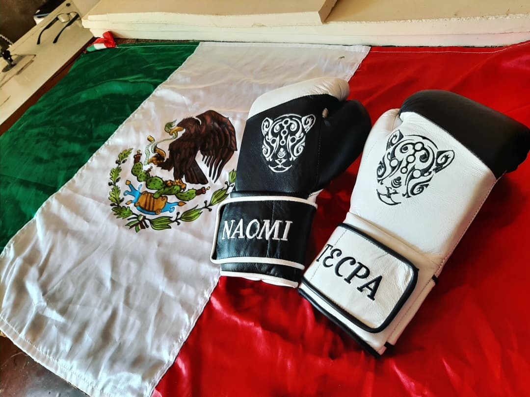 Los mejores artículos de boxeo con diseños y colores sorprendentes.
Hechos en México.
Hechos por Hernández  champs
#box #boxeo #boxing #boxingday #boxinggym #trainingbox #hechoenmexico #hechoamano #cmb #amb #wbc