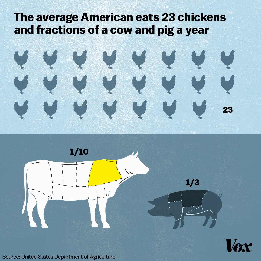 vox-on-twitter-the-average-american-eats-174-animals-per-year-23