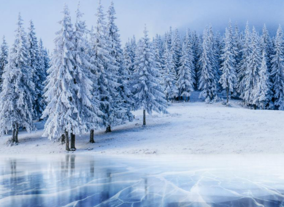 NEWENGLANDBTA's tweet photo. WINTER CELEBRATION!!

* Wednesday January 26th at 6pm
* OMNI Boston Hotel at the Seaport
* Come join top travel leaders as we enjoy a buffet, desserts and drinks! Join in on the Raffles for fun get aways and prizes!! 

*Proof of vaccination will be required to attend the event https://t.co/ilPKIQgtDK
