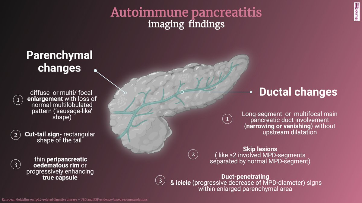 📌 Autoimmune pancreatitis 

- imaging characteristics
- diagnosis
- treatment

European Guideline on IgG4-related digestive disease – UEG and SGF evidence-based recommendations

onlinelibrary.wiley.com/doi/10.1177/20…
#GITwitter <a href="/my_ueg/">my_UEG</a> <a href="/WileyHealth/">Wiley Clinical Health</a>