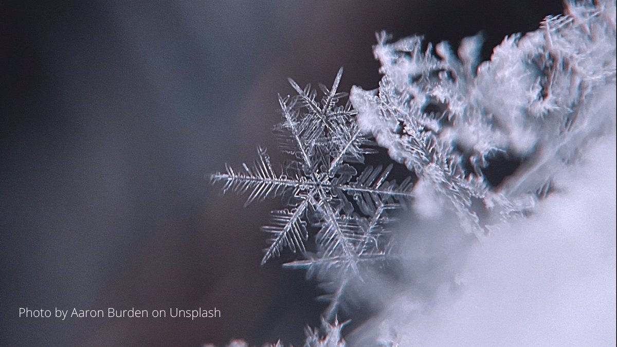 Sci_in_School's tweet photo. There’s a little bit of magic and a lot of science in every #snowflake!
Discover the #science of snowflakes, engineer the perfect #snowball, explore sparkly snow paint. 
Let it Snow!
https://t.co/3xuoL1Zyd5...

#snowflakescience #ScienceofSnow #remotelearning https://t.co/M8QGQmDtj5