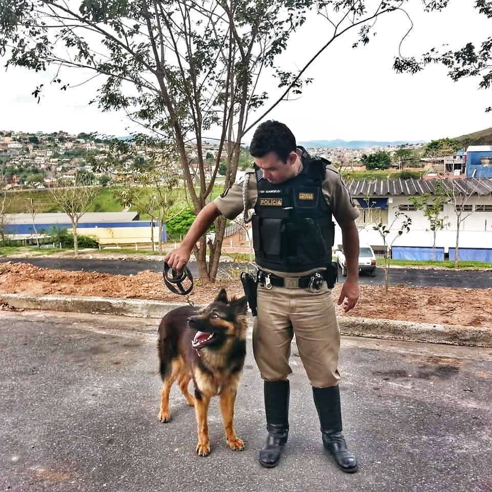 Polícia Militar de Minas Gerais tweet media