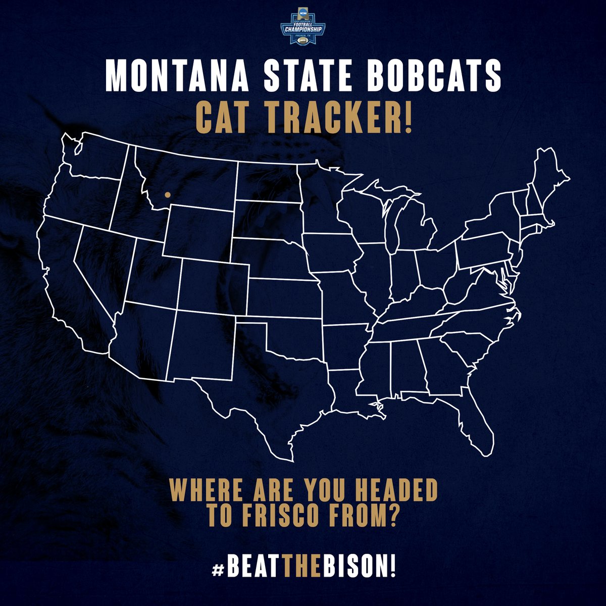 Montana State Bobcats tweet media