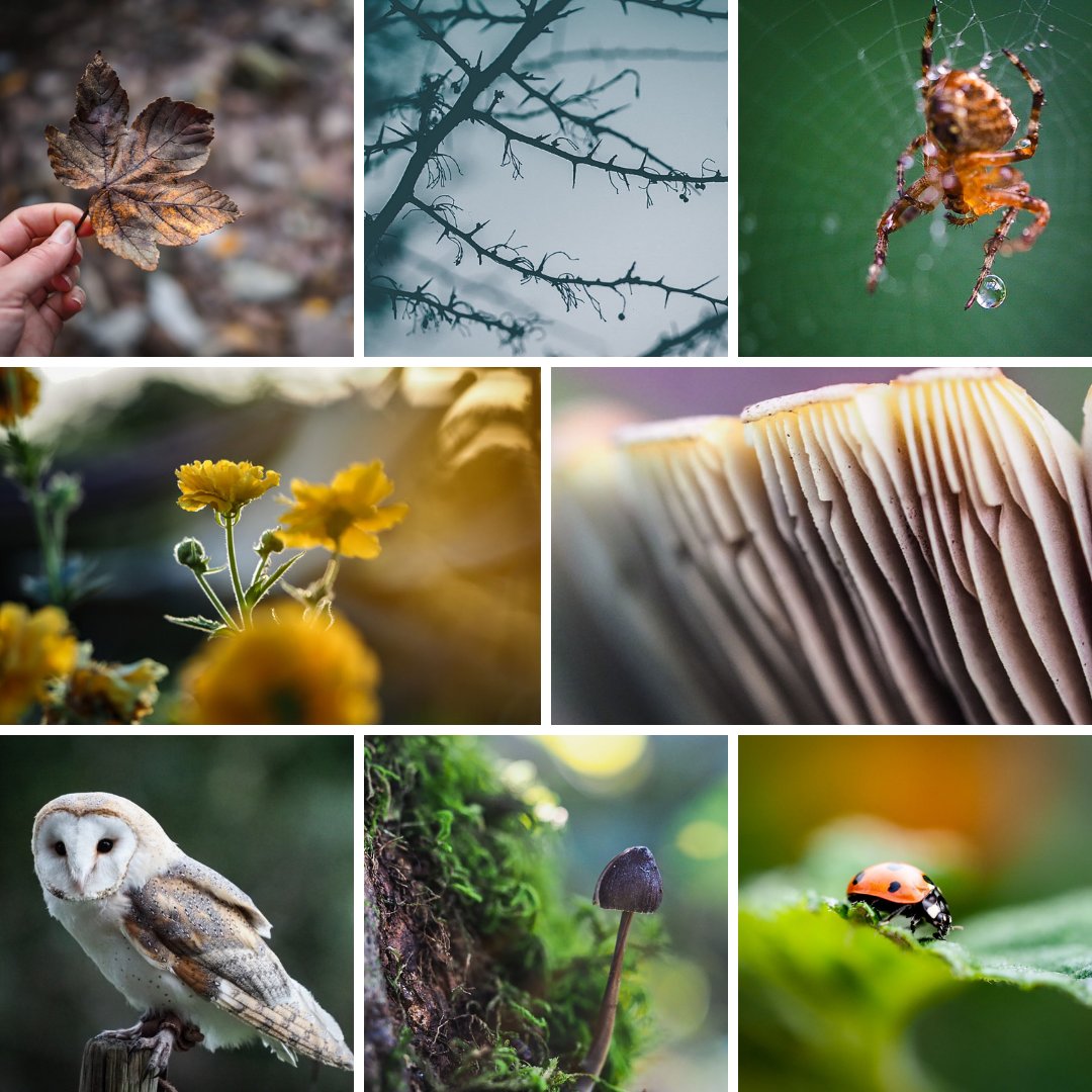 "This is your challenge! You don’t have to start on January 1st, you can kick things off any day. I use my 365 as a visual diary, but you could pick your favourite subject, like birds or wildlife..."

Tap for <a href="/daisyduked/">Daisy Dickinson</a>'s tips for a #365 photo project: bit.ly/3EXGI5P