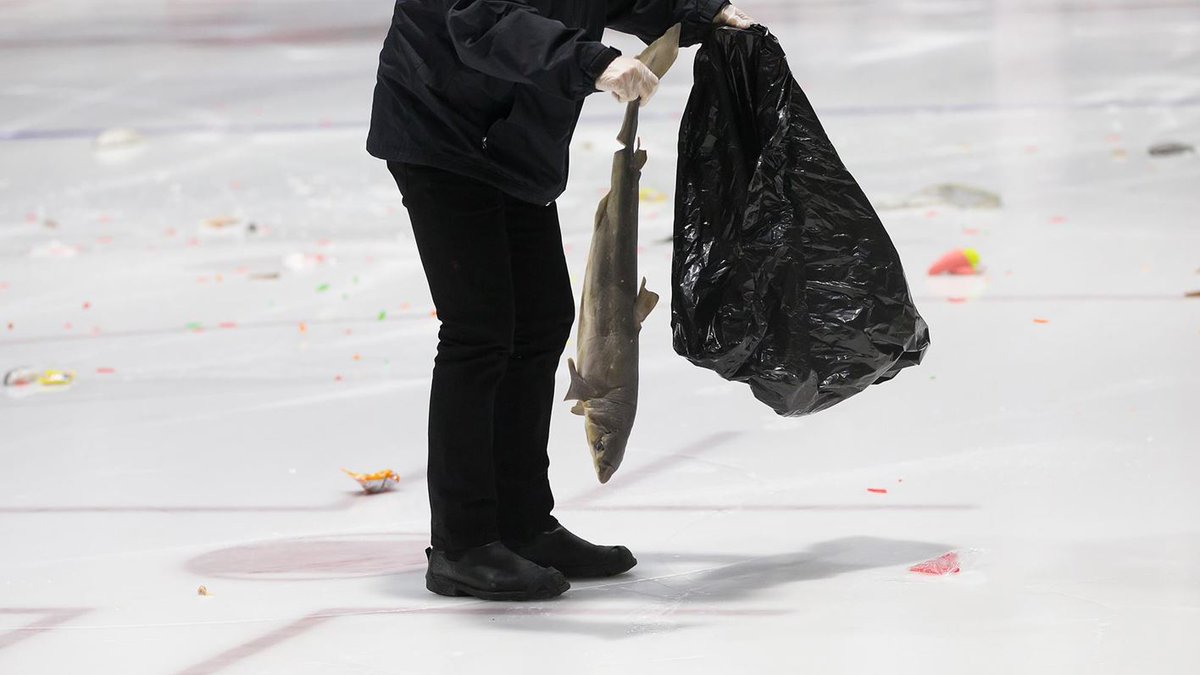 On this day 49 years ago, a <a href="/Harvard/">Harvard University</a> hockey fan threw a chicken over the boards at the <a href="/CornellMHockey/">Cornell Men’s Ice Hockey</a> goalie during a game. Cornell won 5-2 and retaliated a month later by putting a live chicken in Harvard's goal and throwing dead fish at the goalie. Thus, a tradition was born.