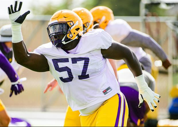 chasen hines scouting report