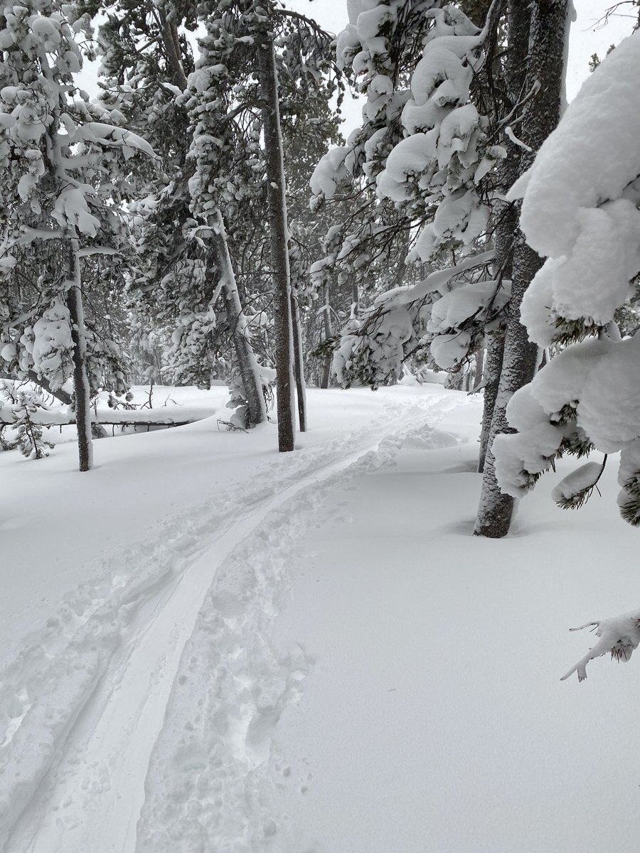 Great early morning uphill session at <a href="/eldoramtnresort/">Eldora</a>, we also got to enjoy some of the 11” of fresh powder before the parking filled up.