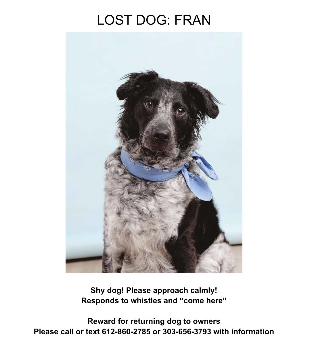 Jaredewy's tweet photo. I can't function. We need to find Fran. @lizgiorgi's dog is missing. Fran is a little shy about humans but totally down with you approaching calmly w/ whistles & some gentle "come heres".
the map:
Orange circle is where sitter lost her
Green X is where last spotted #findfran https://t.co/MNOZpbCcop