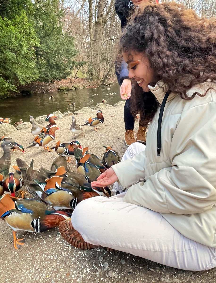saraah_amn's tweet photo. spent a day with the ducks😃 did my makeup inspired by them 🦆🧡 they filled my heart with happiness ✨ https://t.co/XDo9TJ5AFk