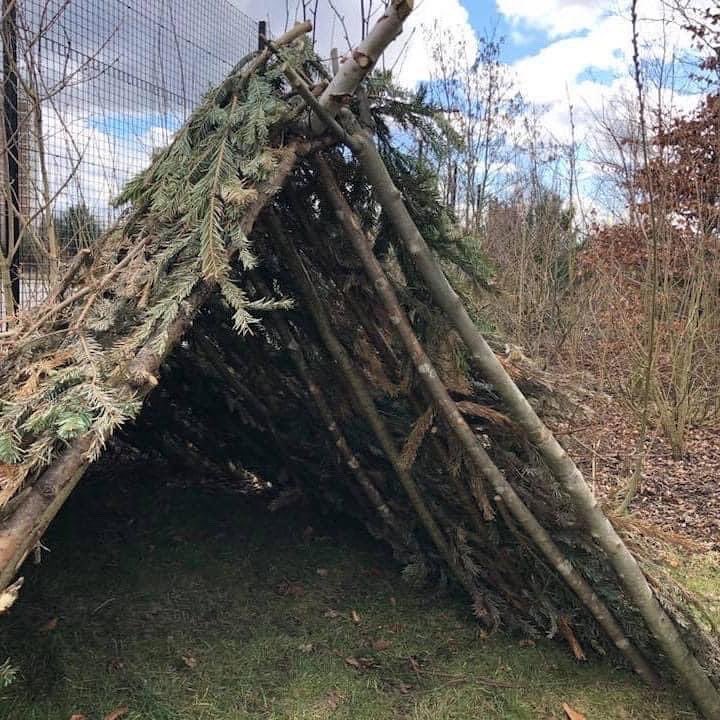 BSPrimary's tweet photo. If you are looking to dispose of your real Christmas tree, we will be open Saturday 8th - 1pm to 3pm for trees to be dropped off and recycled. Please ensure all decorations, pots or stands are removed before bringing your tree, please also do not leave outside school gates. https://t.co/H6UGEVQRbY