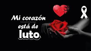 Triqui Traques tweet media