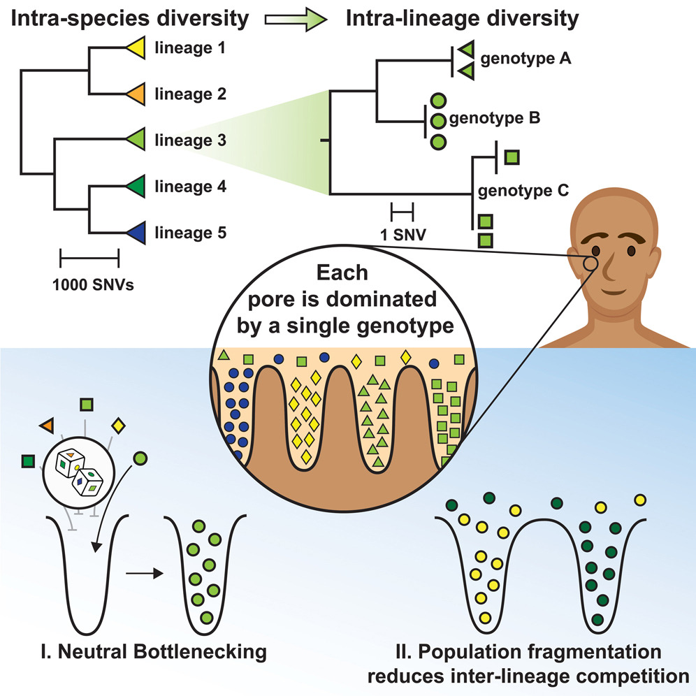 Cell Host & Microbe tweet media