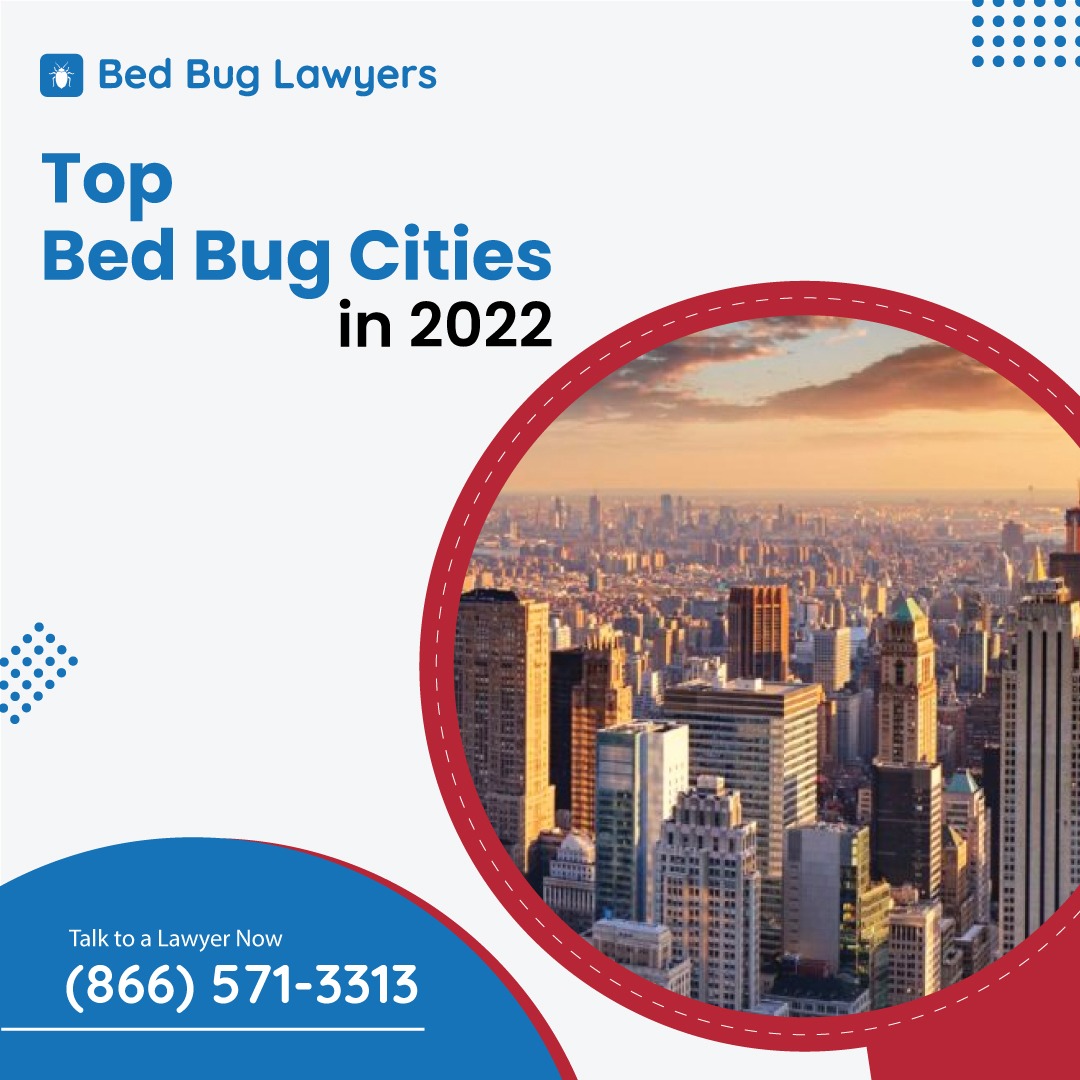 BedBugLawExpert's tweet photo. Bed bugs can be found anywhere in the United States. But some places are worse off than others. In this article, we will answer these questions and run through the list of the top bedbug-infested states and cities. Click to learn more: https://t.co/W7kbin7K1Y

#bedbuglawyers https://t.co/l9cZL3OCWK