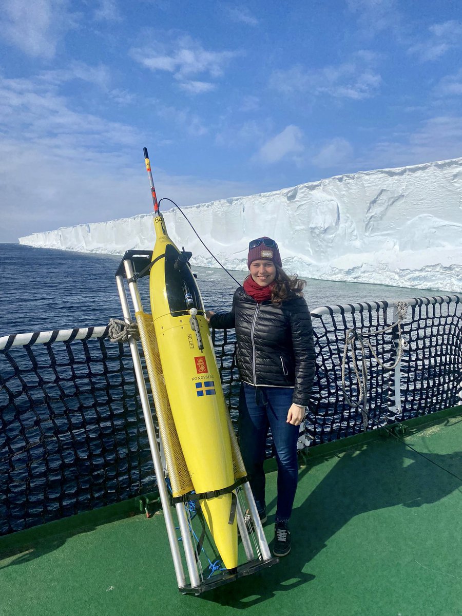 Polar Gliders tweet media