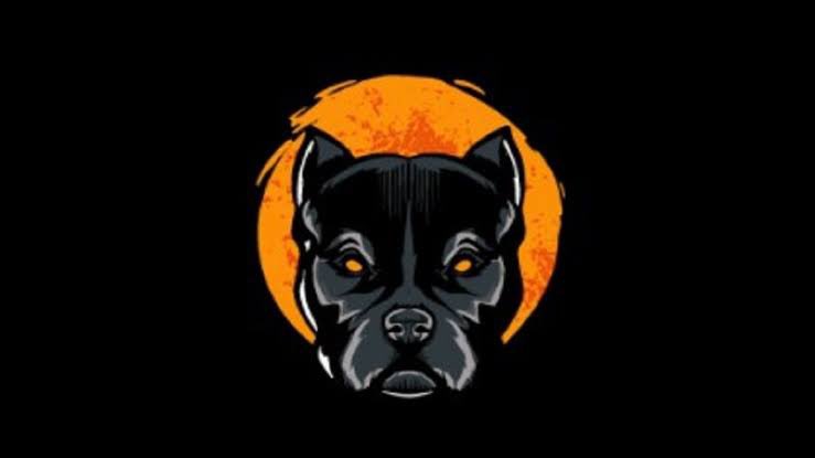🔥 #pit #Pitbull #pitbulltoken 🔥 <a href="/BscPitbull/">Pitbull Token</a> 
•Pitbull bekleyenler Kimler😎
•Sabırla Bekliyoruzzz🙏🏻