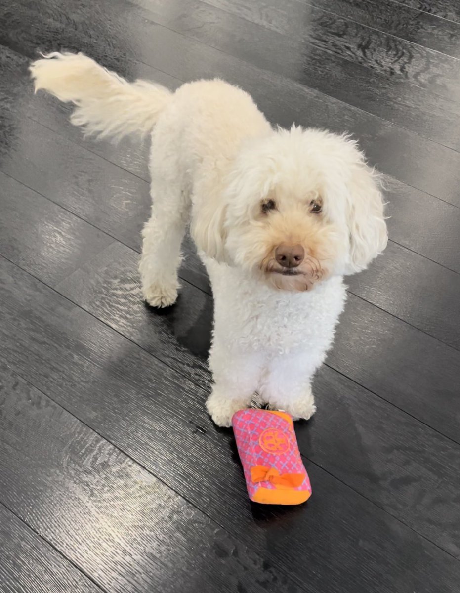 StacyGSGreenberg tweet media