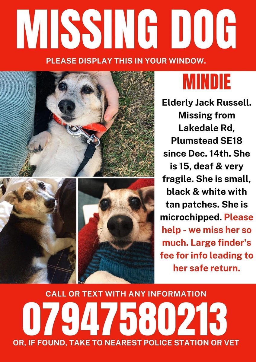 We won’t give up on Mindie, thank you for your RTs please keep sharing to help #FindMindieSE18