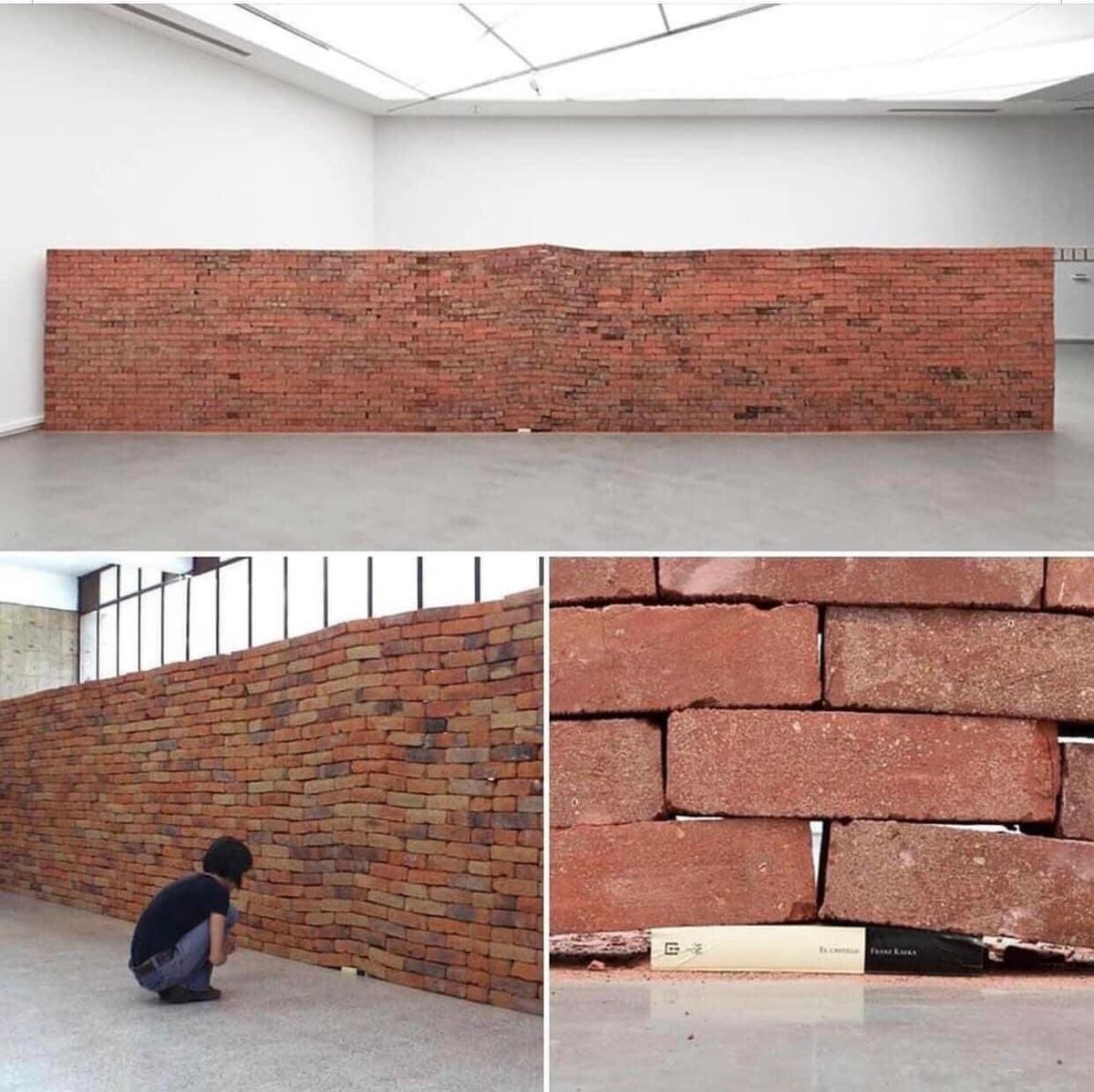 Elliot Moore tweet media