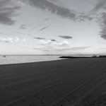 Photo by Right Brain Insights (@RBInsights)