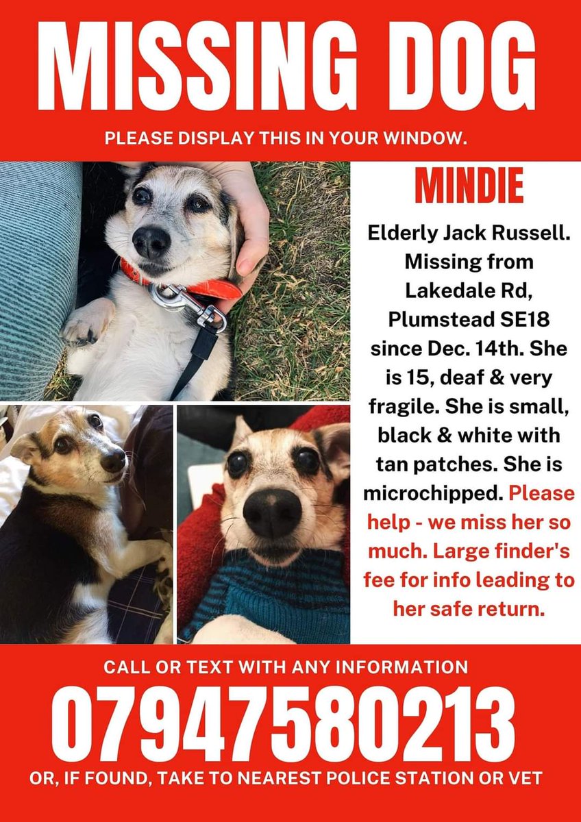 Ever experience a scary five minutes where you can't find your dog or cat? Then you find them hiding somewhere &amp; laugh at yourself for getting so panicked. 

This is what happened on the 14. Dec. Except I never found her - &amp; I've been scared every moment since. #FindMindieSE18