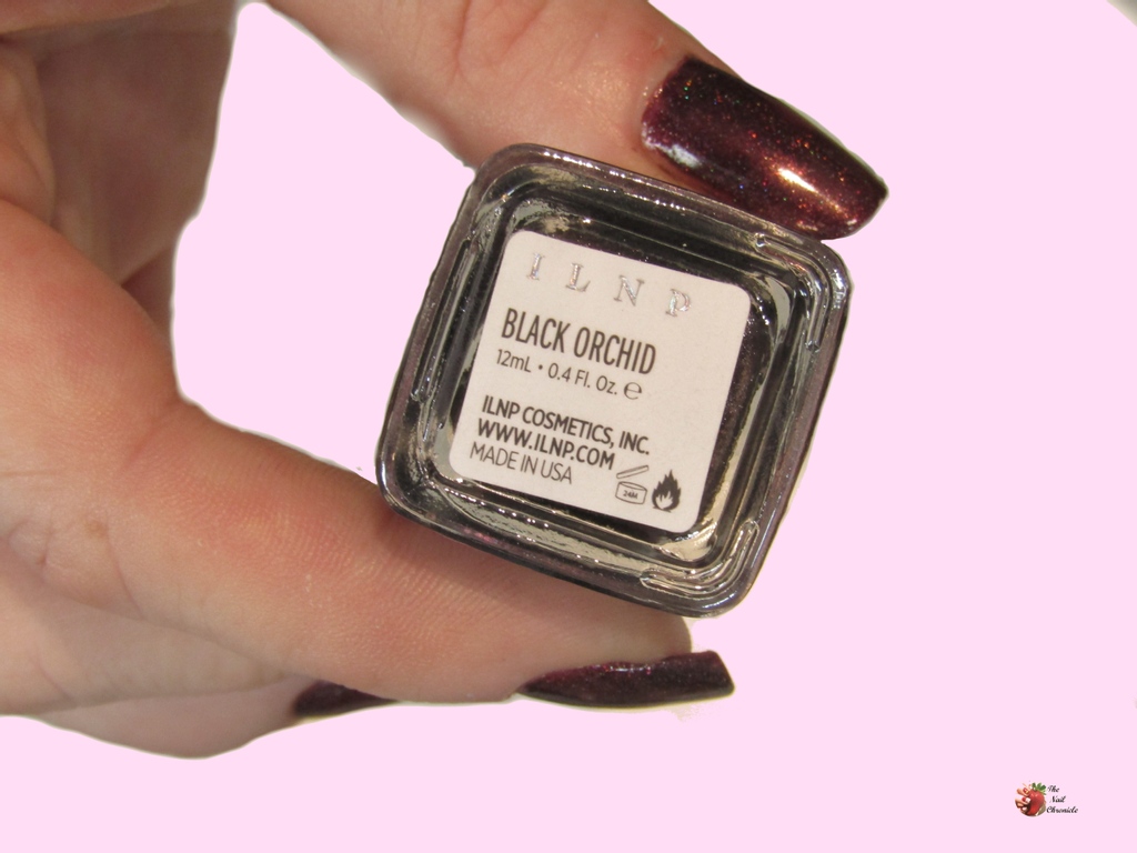This week I've swatched ILNP Black Orchid, a surprising shade! Find out more in my latest blog post.

thenailchronicle.com/2022/01/03/bla…

#nailblogger #nailsofinstagram #nailpolishreview #ilovemynails #nailsoftheday #ILNP #blackorchid #indienailpolishswatch