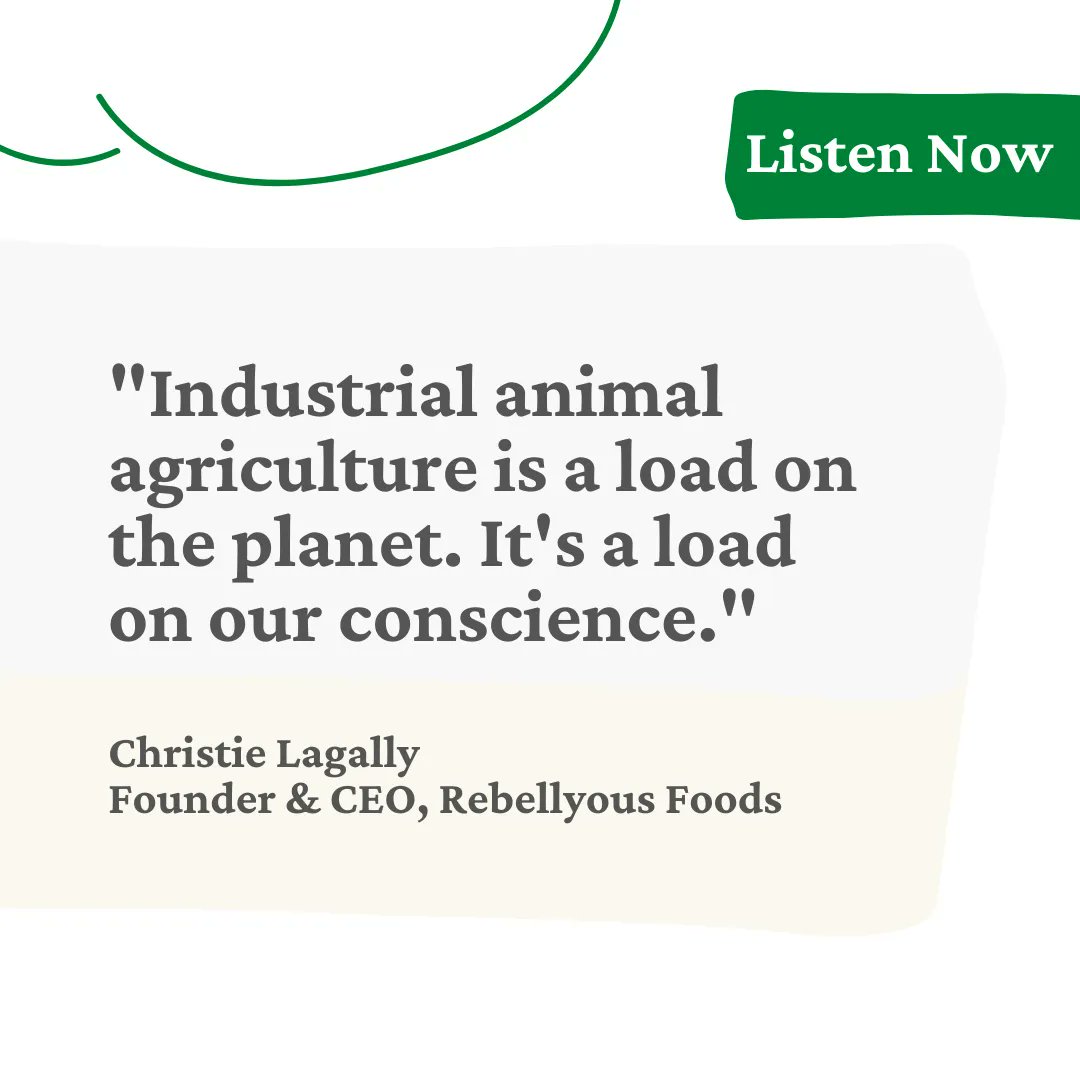 Many learnings about the harms of industrial animal agriculture in this week's episode of Toasted Earth. Michelle and Christie of <a href="/rebellyous/">Leeann D</a> discuss its harm on the planet, the animals and even human health and disease. Give it a listen!

#noplanetb #climatecrisis #veganuary