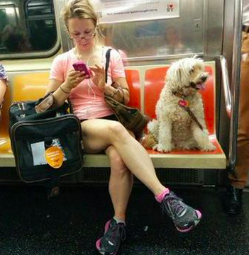 AliCologne's tweet photo. Also wenn man über #manspreading schreibt, sollte man auf jeden Fall auch #shebagging erwähnen..

Das wollen diese Personen mit Vagina aber nicht wissen.

https://t.co/xw6gGlVU0u https://t.co/8cYpA12Iim