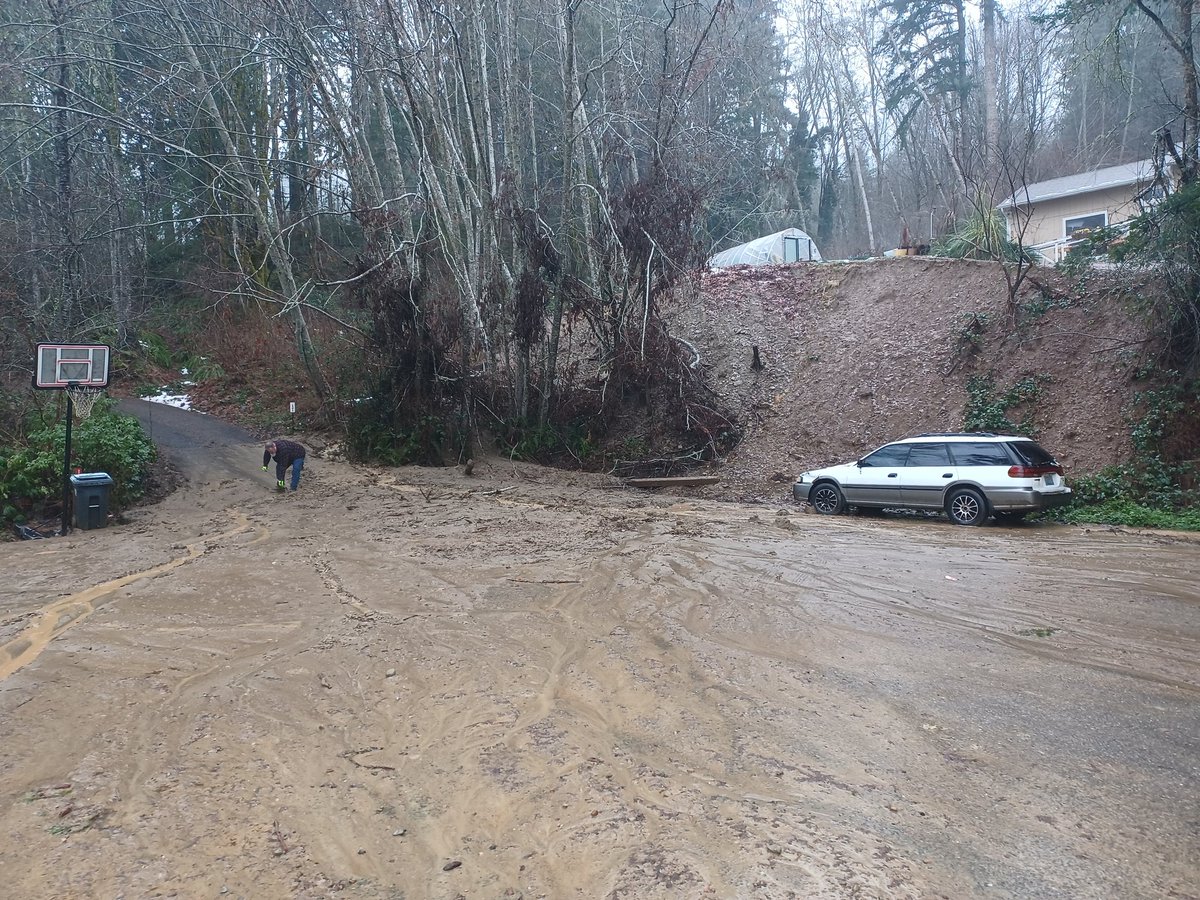 HylianJayAppears tweet media