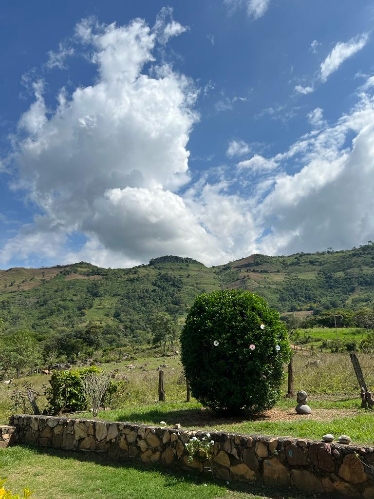 LuqueOmaira's tweet photo. Heyyy 📣 fotitos recién sacadas del horno,de mi campo.
#Bitubu
#Chejende
#Trujillo https://t.co/XeAYzL1m9b