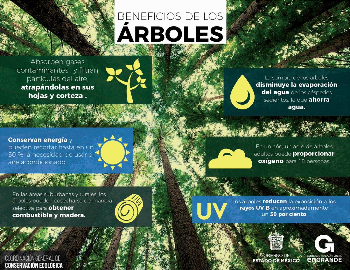 SaludAmbiental9's tweet photo. beneficios de los arboles 😍😊 #cuidatumundo https://t.co/iOeCa2gfRa