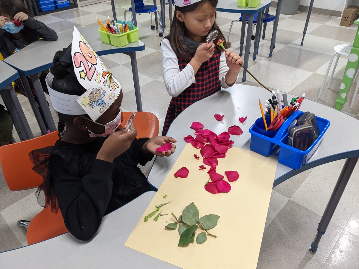 itsmsowen's tweet photo. What better way to kick off the new year than hands on exploration of the parts of plants?! @CFBRainwater #RainwaterRocks #STEM #togetherwerisecfb @MsDawson1st https://t.co/S3P1pTi9XY