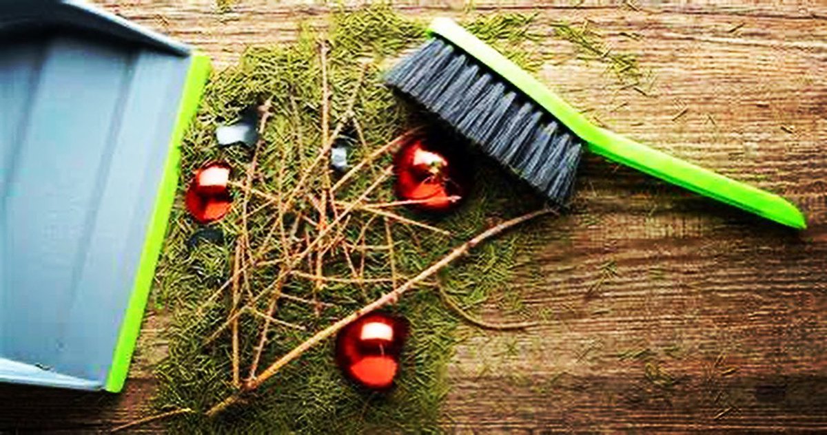 National Take Down the Christmas Tree Day – January 6, 2022 #holidaysareover #enoughisenough