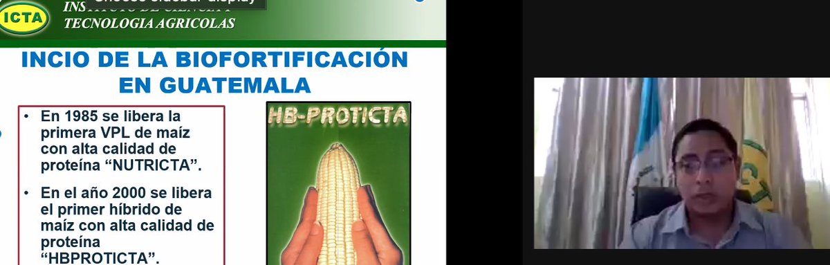 ¿Sabías que existen las semillas de maíz biofortificadas desde 1985? Ing. Héctor Martínez, subgerente de <a href="/ICTAGuate/">ICTAGuatemala</a> nos comparte sobre los inicios de estos cultivos para impactar las brechas de nutrición en la población rural. 👇