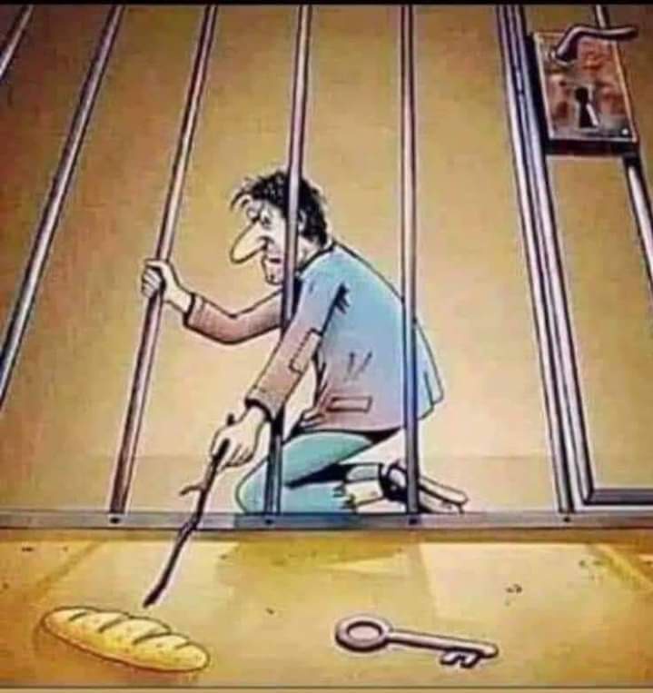AzharAbid7's tweet photo. If you keep them busy with basic needs.They will forget about the freedom they lost.....!!!! https://t.co/2h06g5VaBO