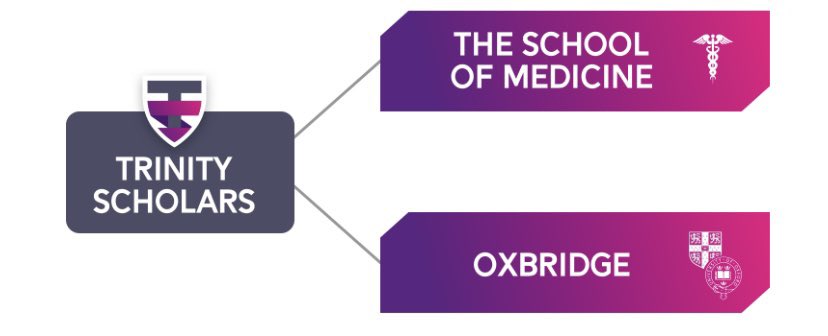 🎓🩺Our new Trinity Scholars programme is aimed at those wanting to pursue the most competitive pathways. Check out our website for the support available. 👩🏼‍🎓 #TrinityScholars #TMAT