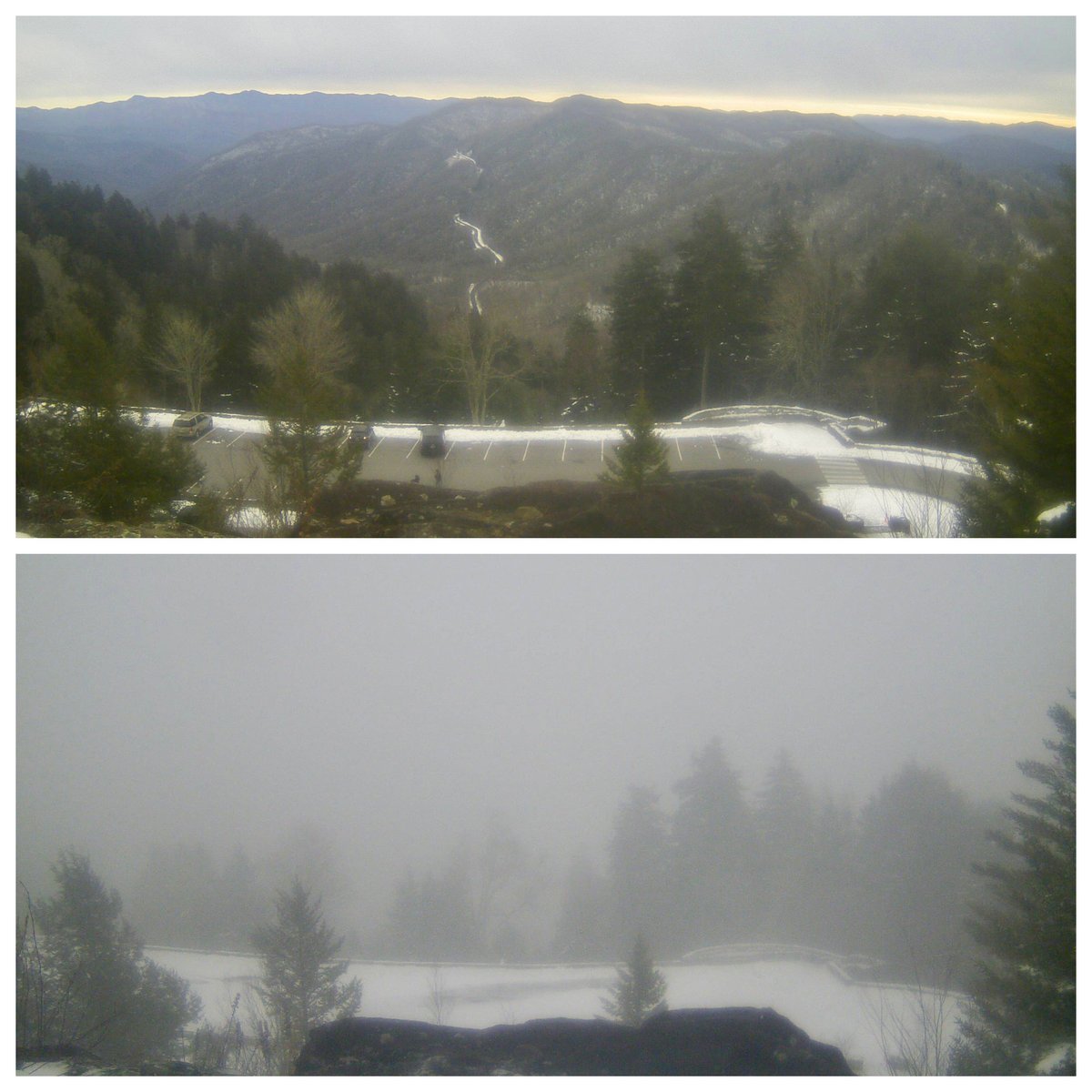 SmokiesFriends tweet picture