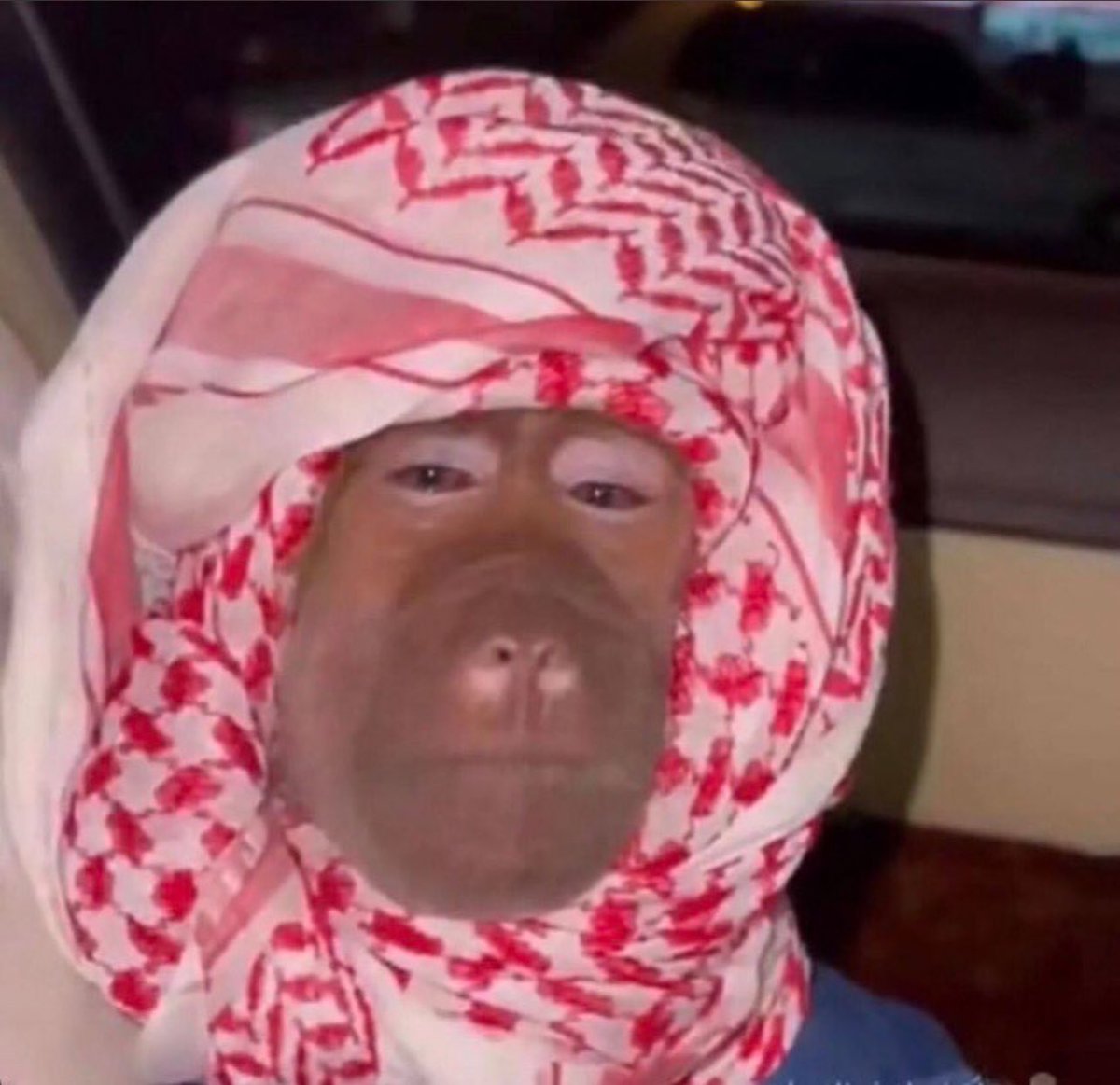 👨🏼‍🦱: بيبي بنام بالبر
👩🏼‍🦱: فديتك انا….صوّر لي