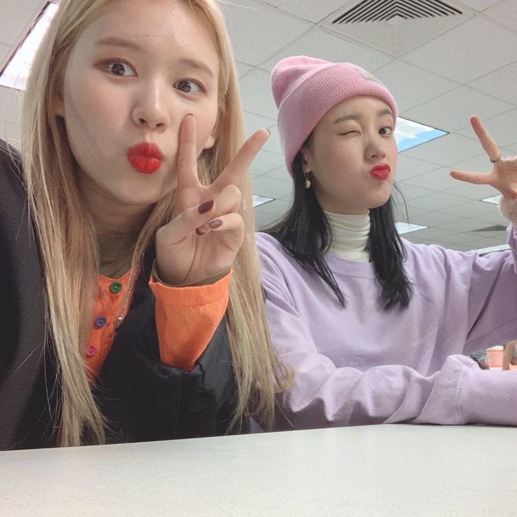 ellythinking's tweet image. HAPPY SEI DAY EVERYONE !! 🥳💗💗 #HAPPYSEIDAY
#WEKIMEKI #위키미키