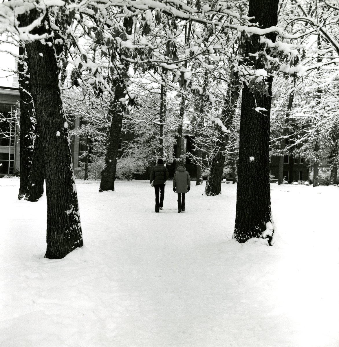 albioncollege's tweet photo. #TBT to some Albion College winter scenes from the archives! #ThrowbackThursday #MyAlbion #CreatingWithCourage https://t.co/1W1Q2F91uJ