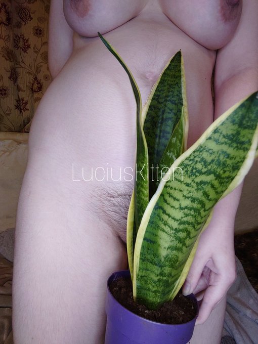 Are nudist botanical gardens a thing? https://t.co/T1cRuwhQtl