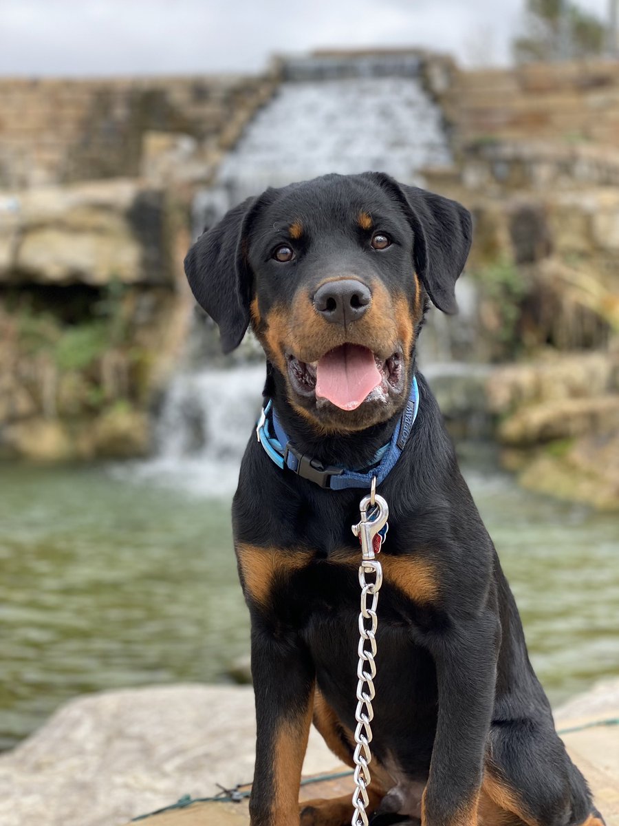 wkmlol's tweet photo. @seauxalexia My boy living like a king 🥰 https://t.co/U0MJ8vqNKK