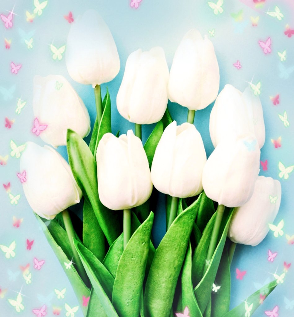 تويتر もろー氏 A K A Mock On على تويتر Chocochocollove おはチョコです L