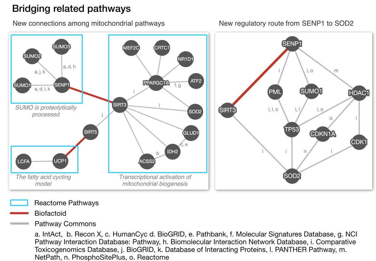 Help @biofactoid bridge related pathways and interactions from @reactome @intact_project @biogrid @WikiPathways through contributions using our simple network editor thereby expanding @PathwayCommons for pathway analysis. Details: elifesciences.org/articles/68292