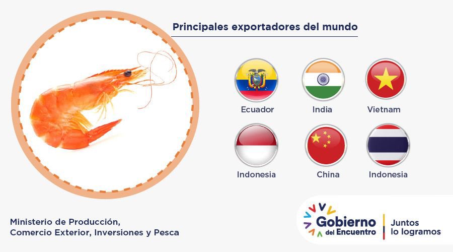 𝗕𝘂𝗲𝗻𝗮𝘀 𝗡𝗼𝘁𝗶𝗰𝗶𝗮𝘀 | Somos el primer productor de camarón a escala mundial🌎, gracias a que contamos  con una industria comprometida y resiliente. 
Seguimos abriendo mercados gracias a la excelencia y trazabilidad de #ElMejorCamarónDelMundo🦐🇪🇨👏