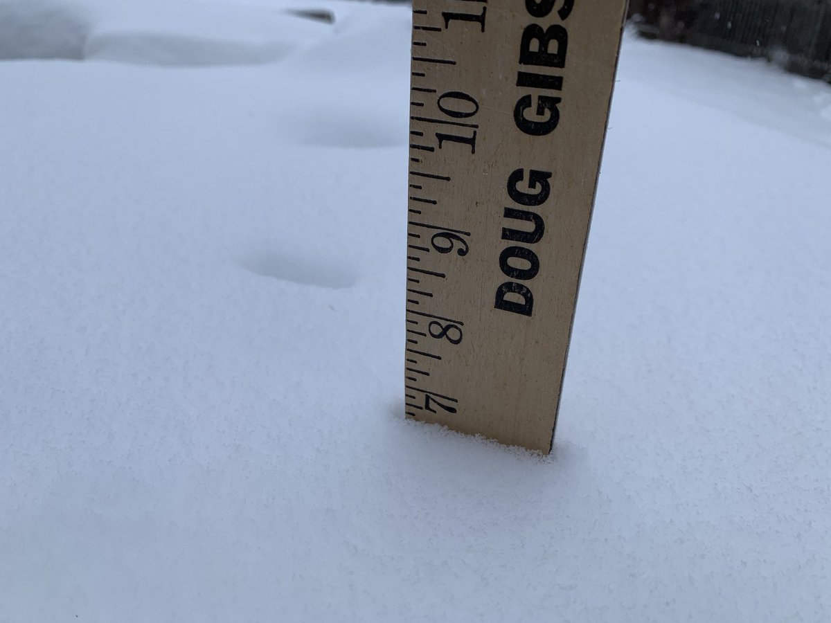 KitchenMMS's tweet photo. @BMSscienceteach Just a touch of snow in Hamburg https://t.co/gxYXMVuRN6