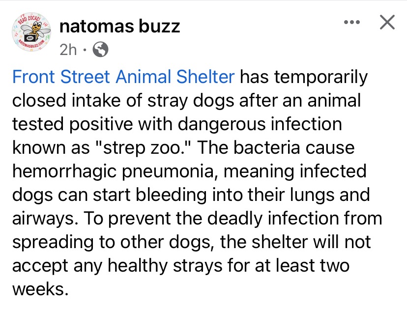JaySwansonPool's tweet photo. Meanwhile in dogs in sacramento ....
#strepzoo https://t.co/mZEuQWKxvx