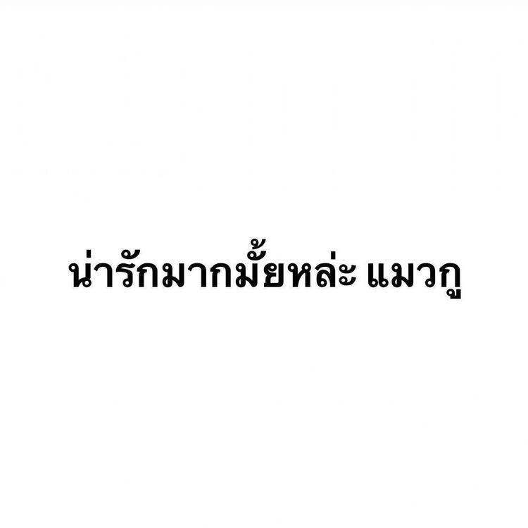 บังเฮะ tweet media