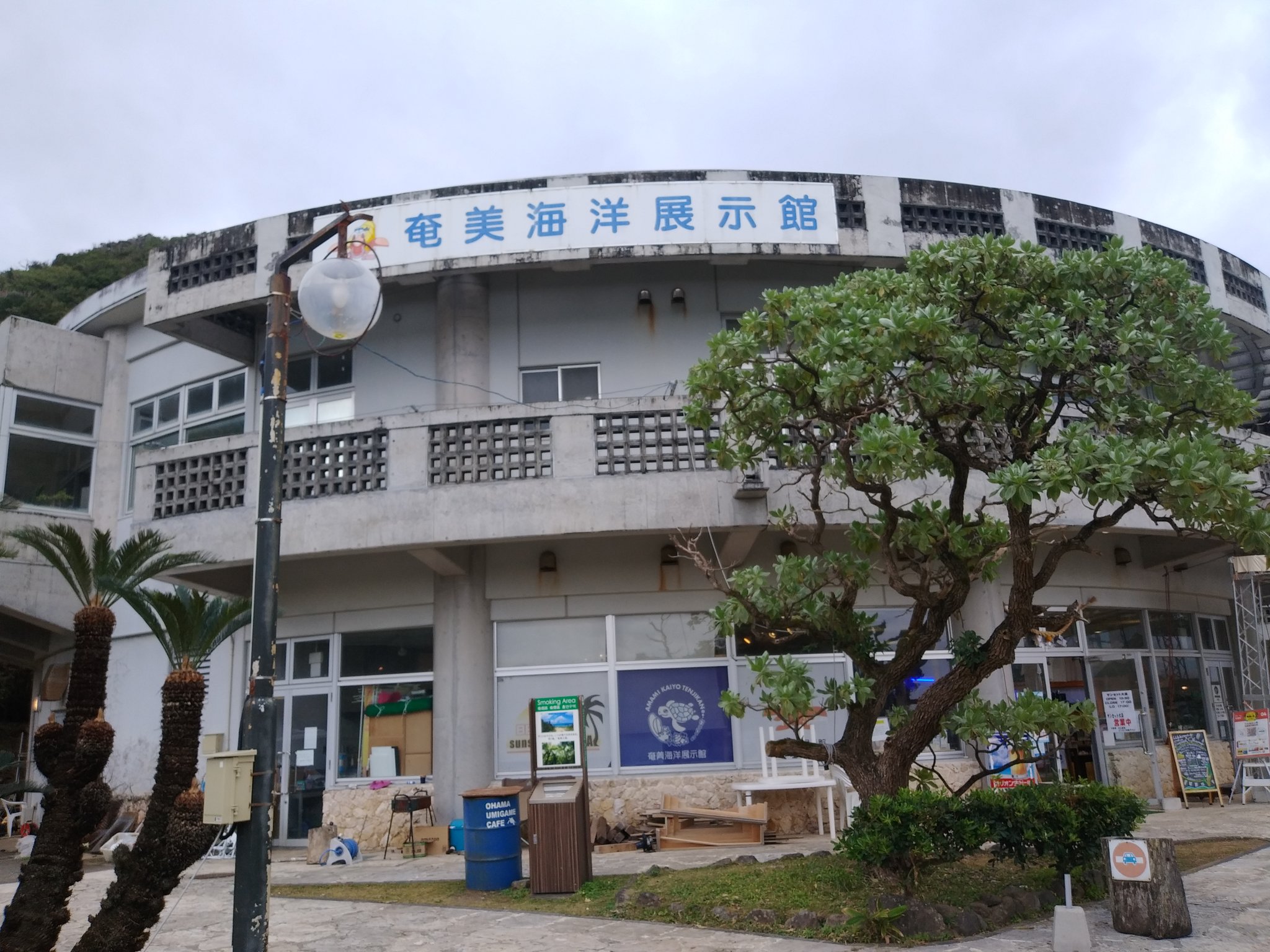 ぴーちゃん 奄美海洋展示館 休館 リニューアルの為３月迄休館してる ショップはやってます 奄美大島 観光 家族旅行 ウミガメ R T Co C3p3bajnxr Twitter