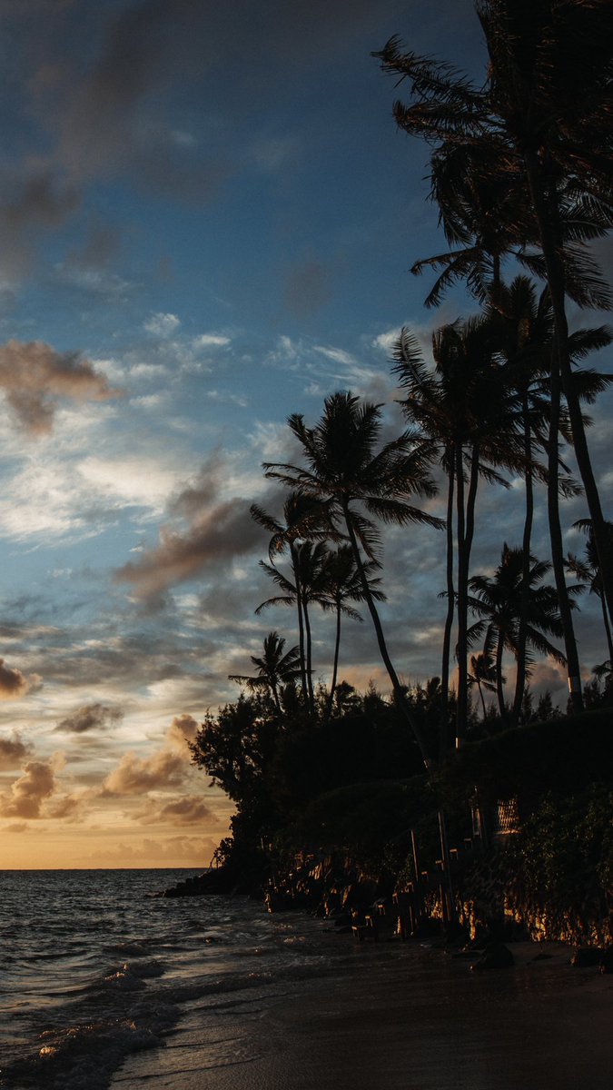 AlohaVisuals's tweet photo. I need to use Twitter more https://t.co/bOvSkYGZPr